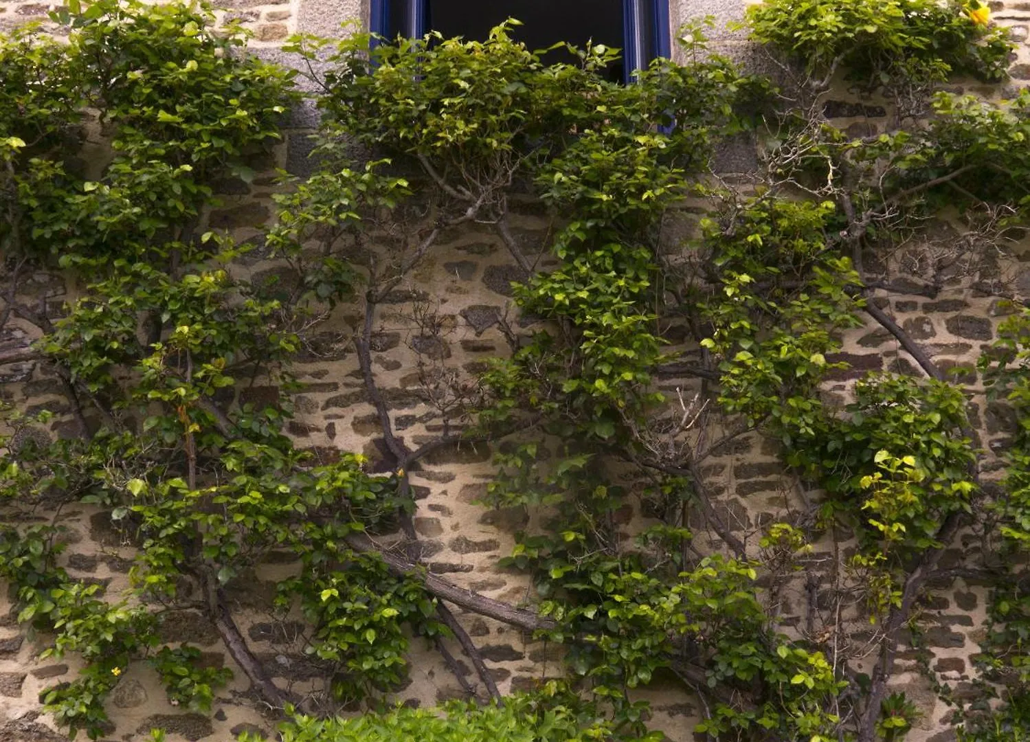 La Grande Maison Dans La Prairie Bonnemain
